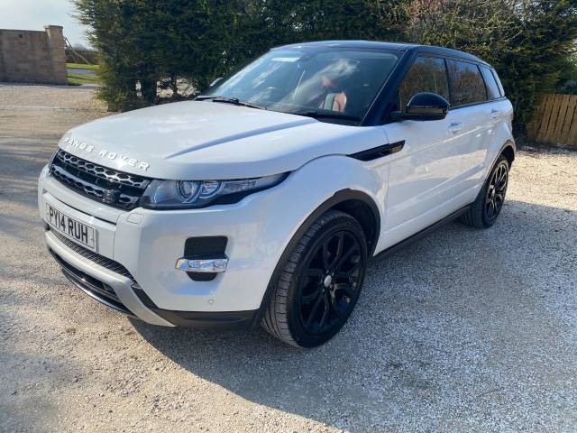 Land Rover Range Rover Evoque 2.2 SD4 Dynamic 5dr Auto [9] Estate Diesel White